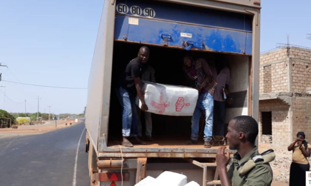 Lutte contre le trafic de stupéfiants : Saisie record de 915 kg de chanvre indien par l’Antenne des Douanes de Gouloumbou