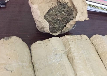FIGHT AGAINST DRUG TRAFFICKING: 177 kg of Indian hemp seized