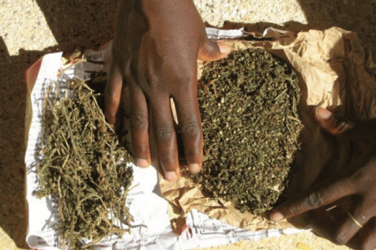 Seizure of Indian hemp and khat