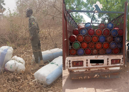 FIGHT AGAINST Narcotic Trafficking: Nioro Customs’unit seized 200 kg of “Green” in Paoskoto