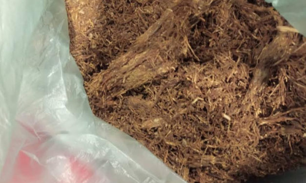 Unusual tobacco seized at “AIBD” airport