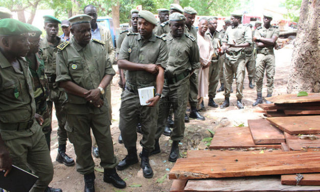Customs General Director Tour in the Southern Region’s units